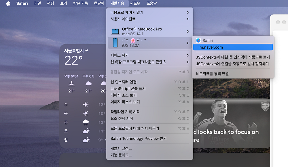 Mac Safari의 개발자용 탭에 존재한다